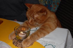 Frohe-Weihnachten-und-ein-gutes-neues-Jahr-a19577445