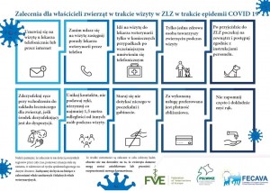 FB_IMG_15851701657024189